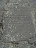 image of grave number 175631